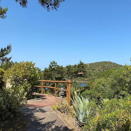 Sea Overlooking Seagull Island