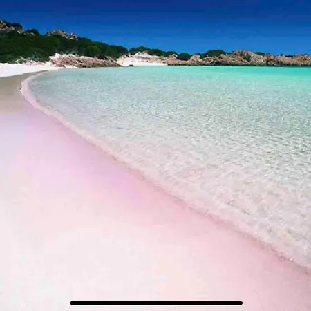 Sea Overlooking Seagull Island Horská chata Porto Rafael