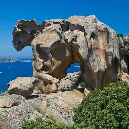 Sea Overlooking Seagull Island