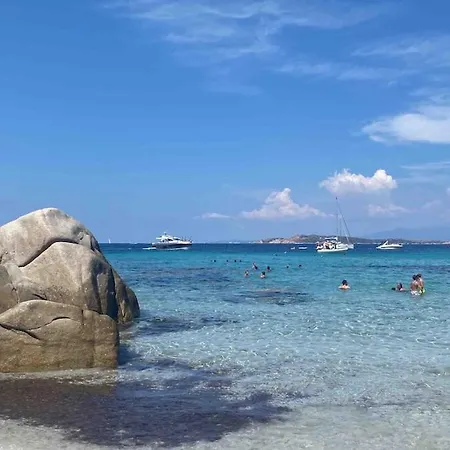 Sea Overlooking Seagull Island *