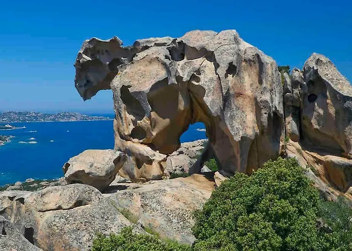 Sea Overlooking Seagull Island