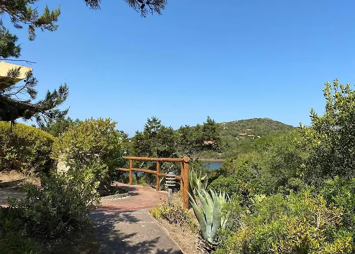 Sea Overlooking Seagull Island