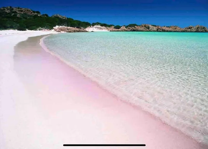 Sea Overlooking Seagull Island 木屋 波尔图拉斐尔